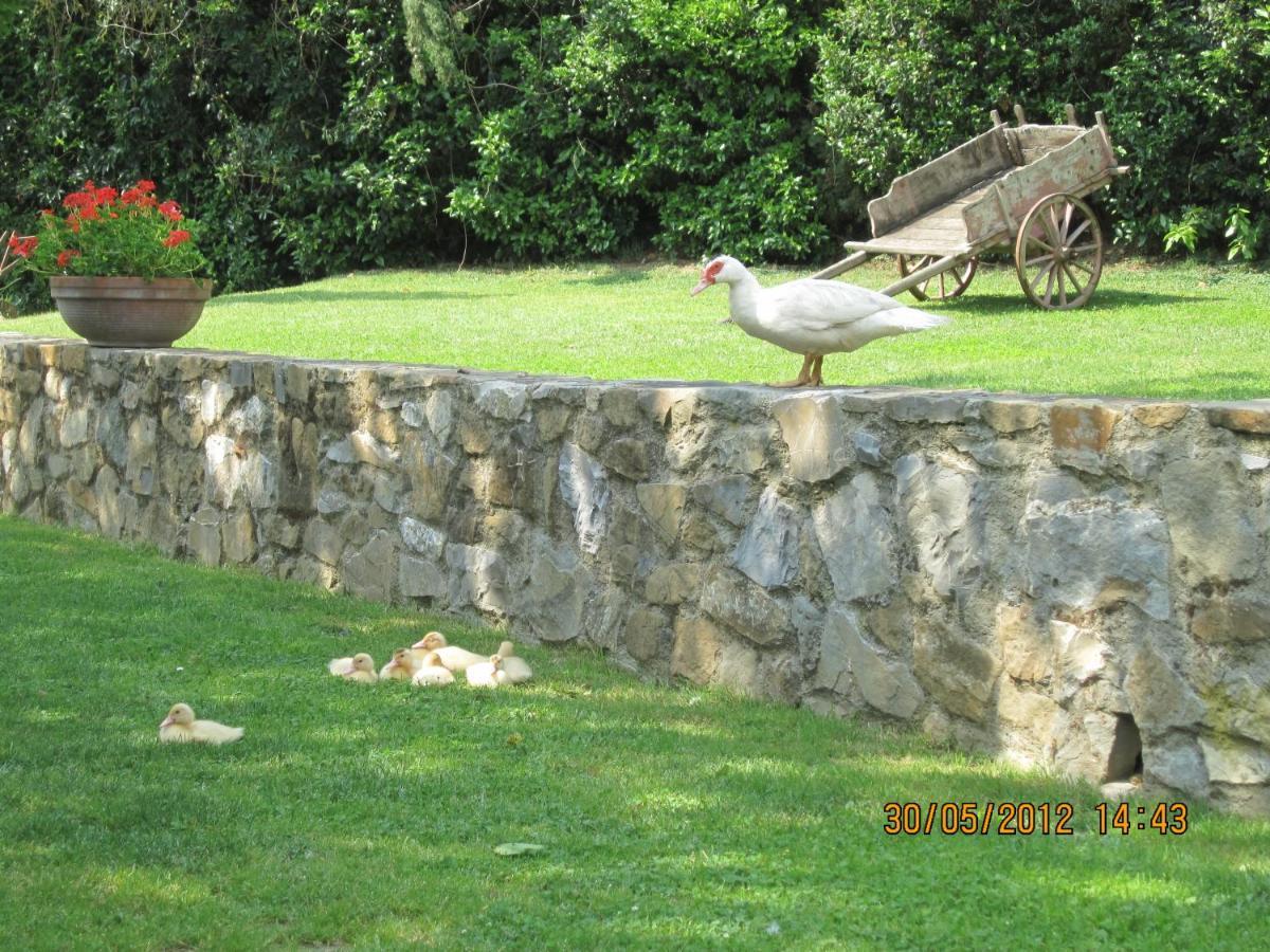 Agriturismo Conca Verde سْكانديتْشي المظهر الخارجي الصورة